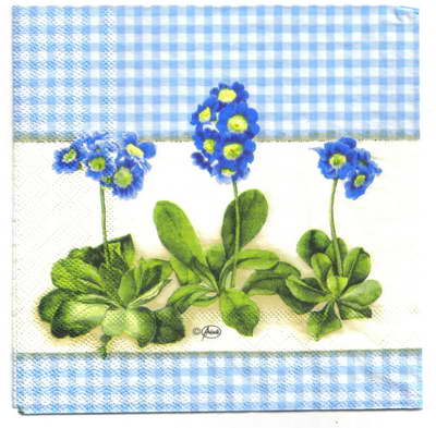 แนวภาพดอกไม้ ช่อดอก Water Forgetmenot กรอบสก็อตฟ้า เป็นภาพแนวยาว กระดาษแนพกิ้นสำหรับทำงาน เดคูพาจ Decoupage Paper Napkins ขนาด 33X33cm