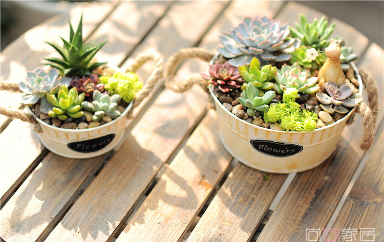 Pre-Order กระถางต้นไม้ทรงถังกลม มีหูเชือก สังกะสีทำสีเก่า เซต 2 ใบ Zakka