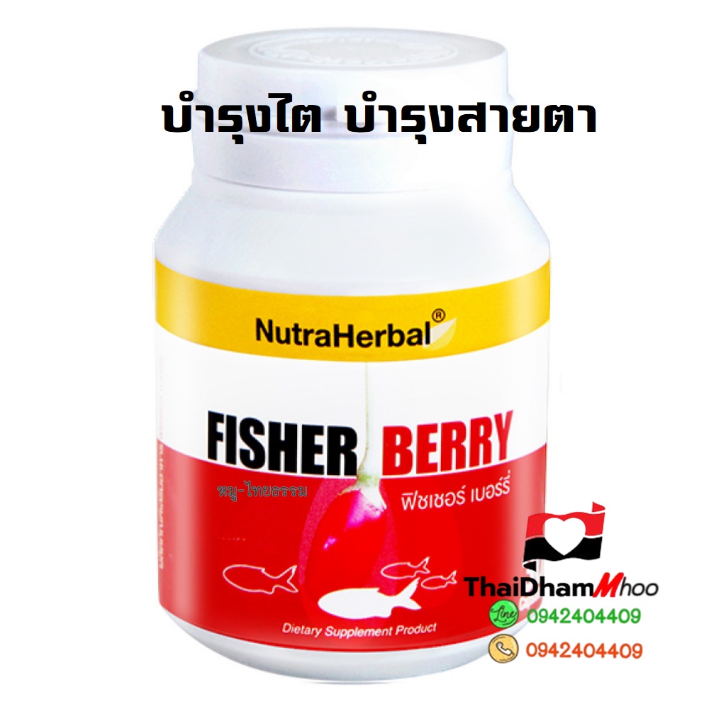 โกจิ เบอร์รี่ บำรุงไต บำรุงสายตา ลดอาการจอประสาทตาเสื่อม เนื่องจากสูงอายุ และในคนไข้เบาหวาน