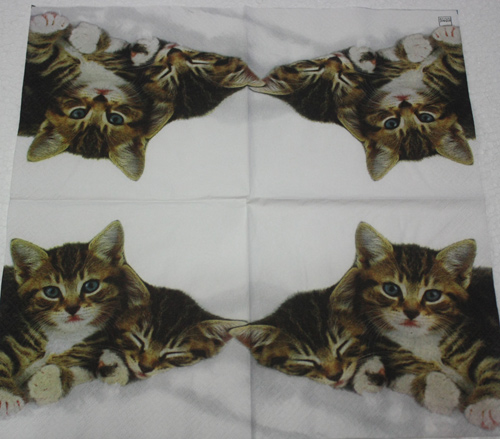 แนวภาพสัตว์ แมวสลิดซบกัน ภาพบล็อค 4 กระดาษแนพกิ้นสำหรับทำงาน เดคูพาจ Decoupage Paper Napkins ขนาด 33X33cm