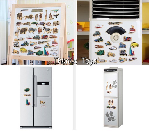 แผ่นภาพแม่เหล็กสัตว์น้ำ 20 ชิ้น (Aquatic Magnet)