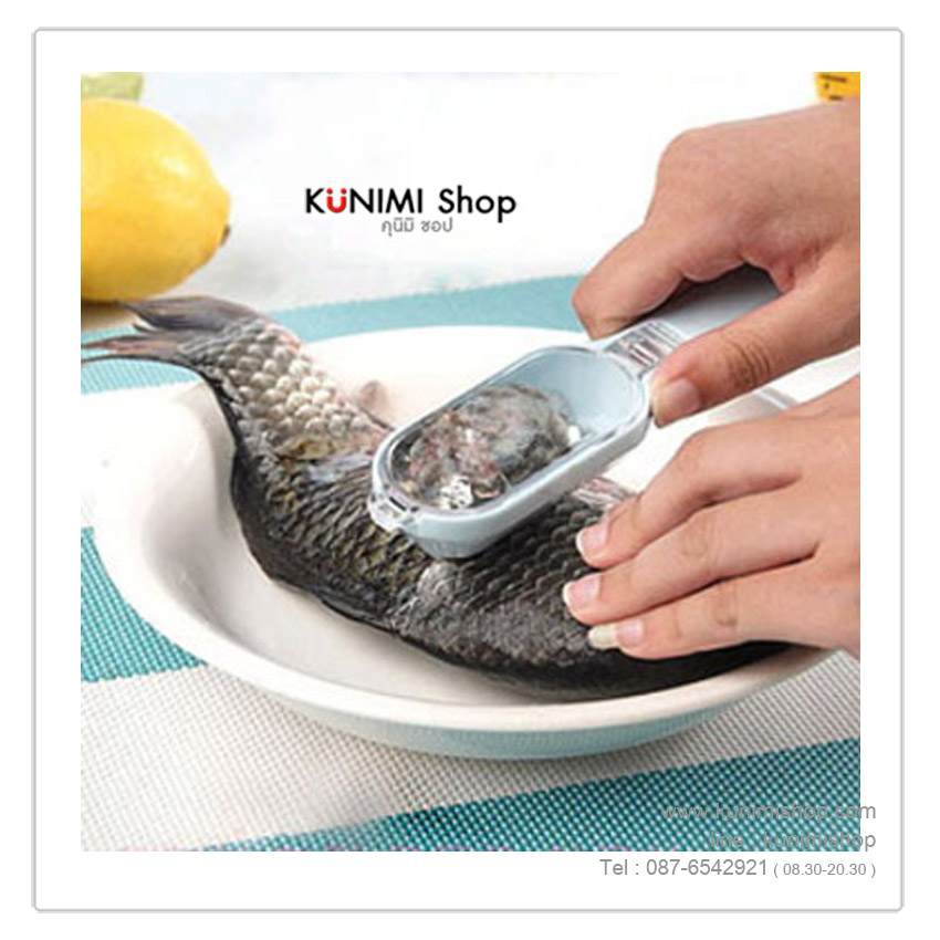 GK025 ที่ขอดเกล็ดปลา ขนาด ยาว 17 cm.