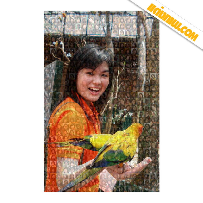ภาพโมเสกคลาสิค (Classic)