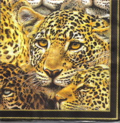 แนวภาพซาฟารี เสือดาว Leopard หน้าเสือ เป็นภาพเต็มแผ่น กระดาษแนพกิ้นสำหรับทำงาน เดคูพาจ Decoupage Paper Napkins ขนาด 33X33cm