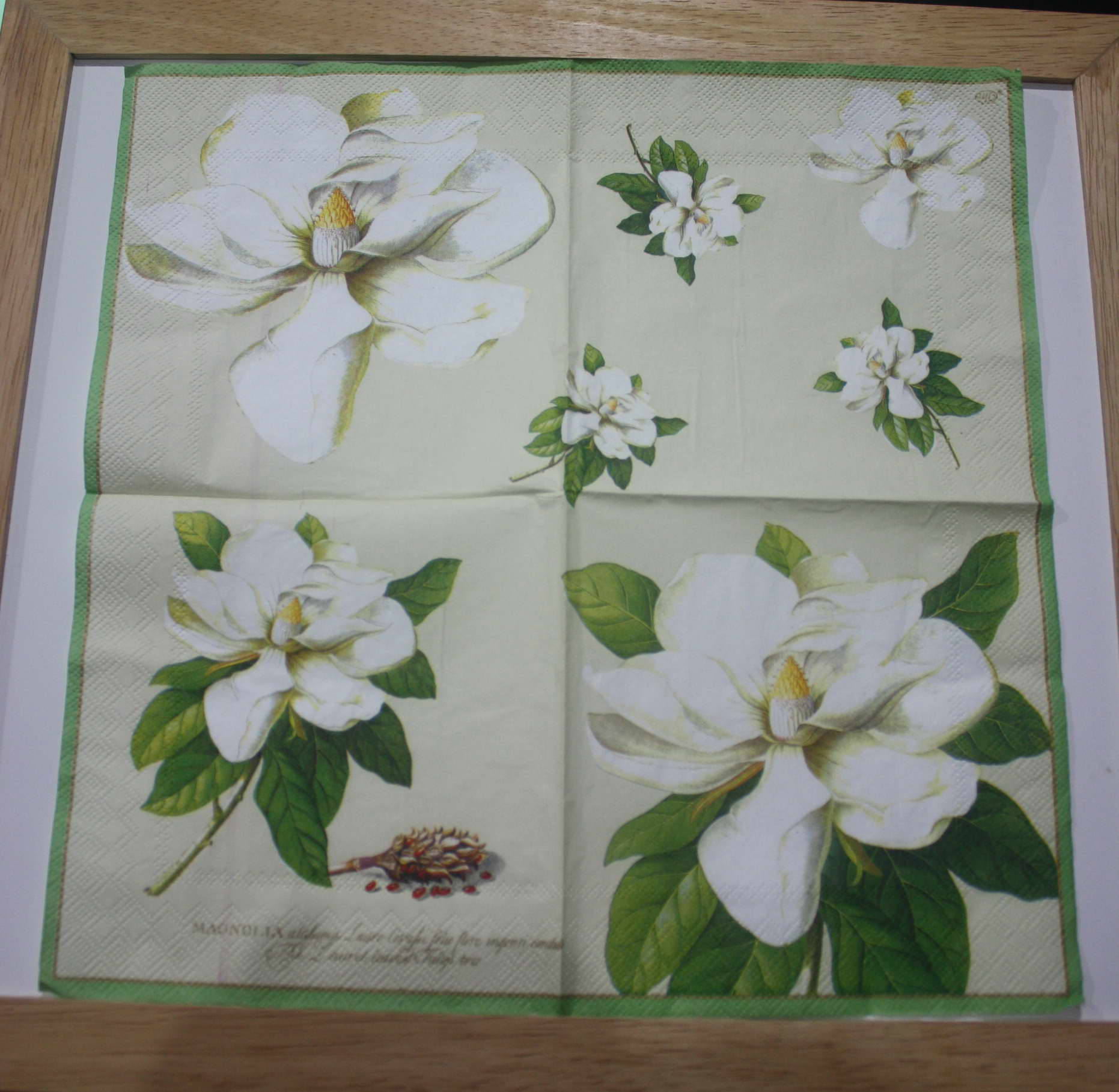 แนวภาพดอกไม้ ดอกแมกโนเลีย Magnolia ดอกใหญ่ เป็นภาพกระจายเต็มแผ่น กระดาษแนพกิ้นสำหรับทำงาน เดคูพาจ Decoupage Paper Napkins ขนาด 33X33cm