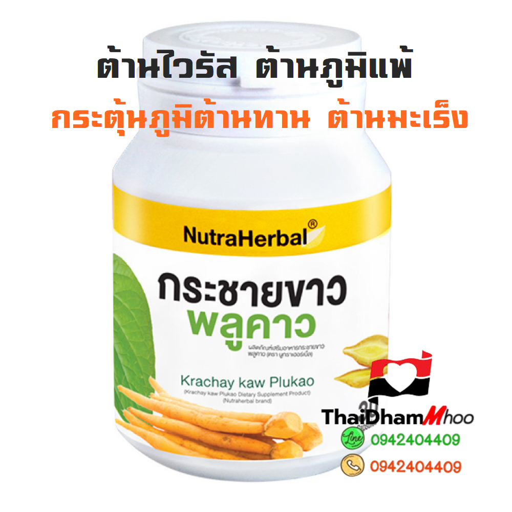 สารสกัดกระชายขาว ผสมสารสกัดพลูคาว กระตุ้นภูมิต้านทาน ต้านไวรัส ต้านภูมิแพ้ ต้านมะเร็ง