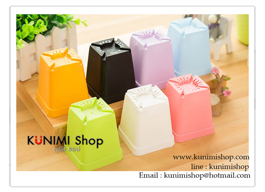  กระถางต้นไม้ขนาดเล็ก สีสันสดใส นำหนักเบา วัสดุทำจากพลาสติก ที่ก้นกระถางมีรูให้น้ำผ่าน มาพร้อมถางรองกระถางคะ 