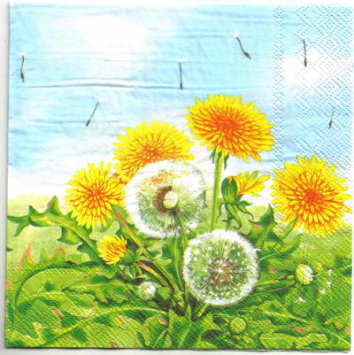 แนวภาพดอกไม้ ดอกแดนดิไลออน ปลิวกระจาย Dandelion เป็นภาพแนวยาว กระดาษแนพกิ้นสำหรับทำงาน เดคูพาจ Decoupage Paper Napkins ขนาด 33X33cm