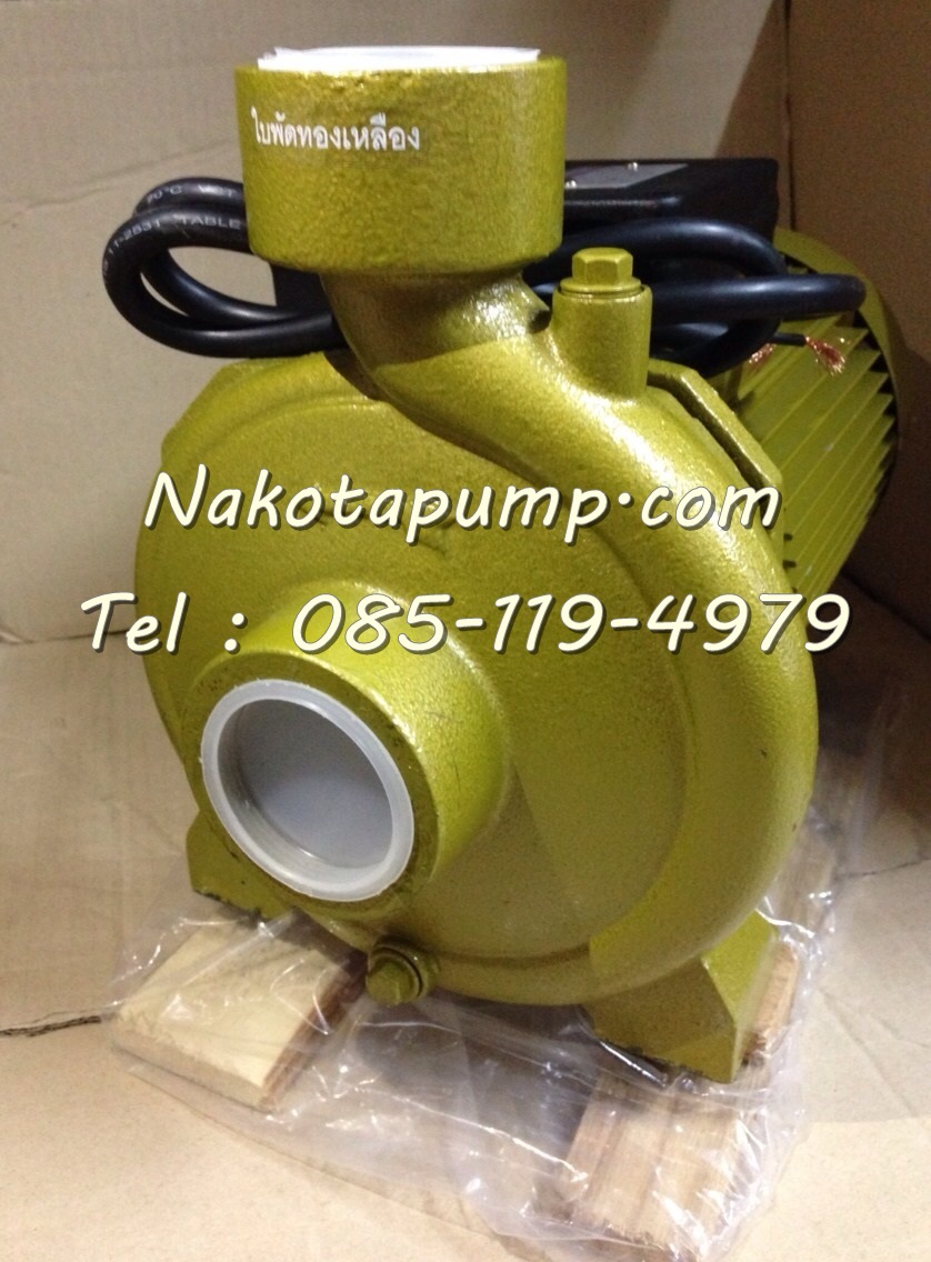 ปั๊มน้ำ PIRALI - Model : CP 20/29 M
