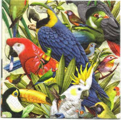 แนวภาพPop Art นกแก้ว นกเงือก ในดงไม้ สัตว์ เป็นภาพครึ่งแผ่น กระดาษแนพกิ้นสำหรับทำงาน เดคูพาจ Decoupage Paper Napkins ขนาด 33X33cm