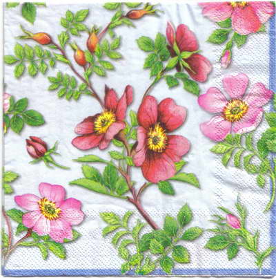 แนวภาพดอกไม้ ดอกด็อกโรส กุหลาบป่า Dog Rose พื้นฟ้า เป็นภาพเต็มแผ่น กระดาษแนพกิ้นสำหรับทำงาน เดคูพาจ Decoupage Paper Napkins ขนาด 33X33cm