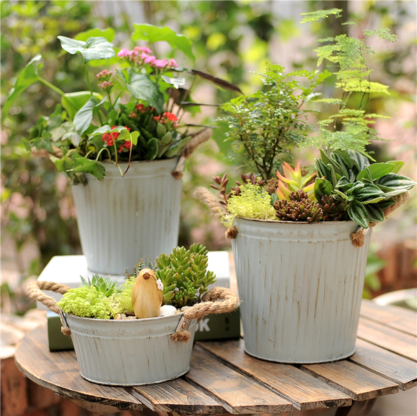 Pre-Order กระถางต้นไม้สังกะสีทำสีเก่าลายริ้ว หูเชือก Zakka เซตละ 2-3 ใบ มี 3 แบบ