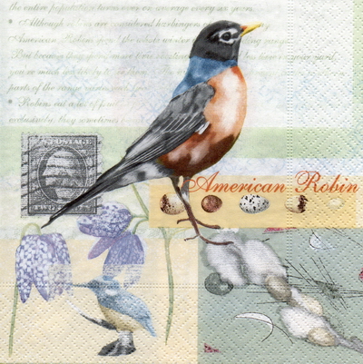 แนวภาพวินเทจ นก American Robin Bird โปสการ์ด เป็นภาพบล็อค 4 กระดาษแนพกิ้นสำหรับทำงาน เดคูพาจ Decoupage Paper Napkins ขนาด 33X33cm