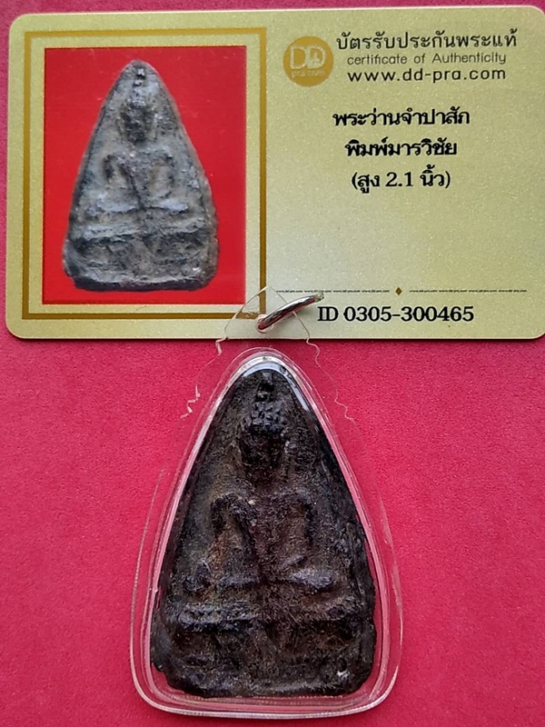 1185 พระว่านจำปาสัก พิมพ์มารวิชัย มีบัตรพระแท้ เลี่ยมกรอบพลาสติกใสกันน้ำ