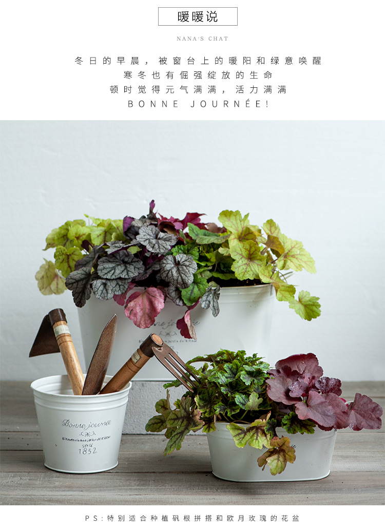 Pre-Order กระถางต้นไม้ ดอกไม้ สังกะสีเคลือบสีขาว Zakka มี เซตทรงถัง กับทรงเปล