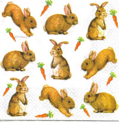 แนวภาพสัตว์ กระต่ายหลายอริยาบถ กับแครอท Rabbit การ์ตูน เป็นภาพแนวยาว กระดาษแนพกิ้นสำหรับทำงาน เดคูพาจ Decoupage Paper Napkins ขนาด 33X33cm