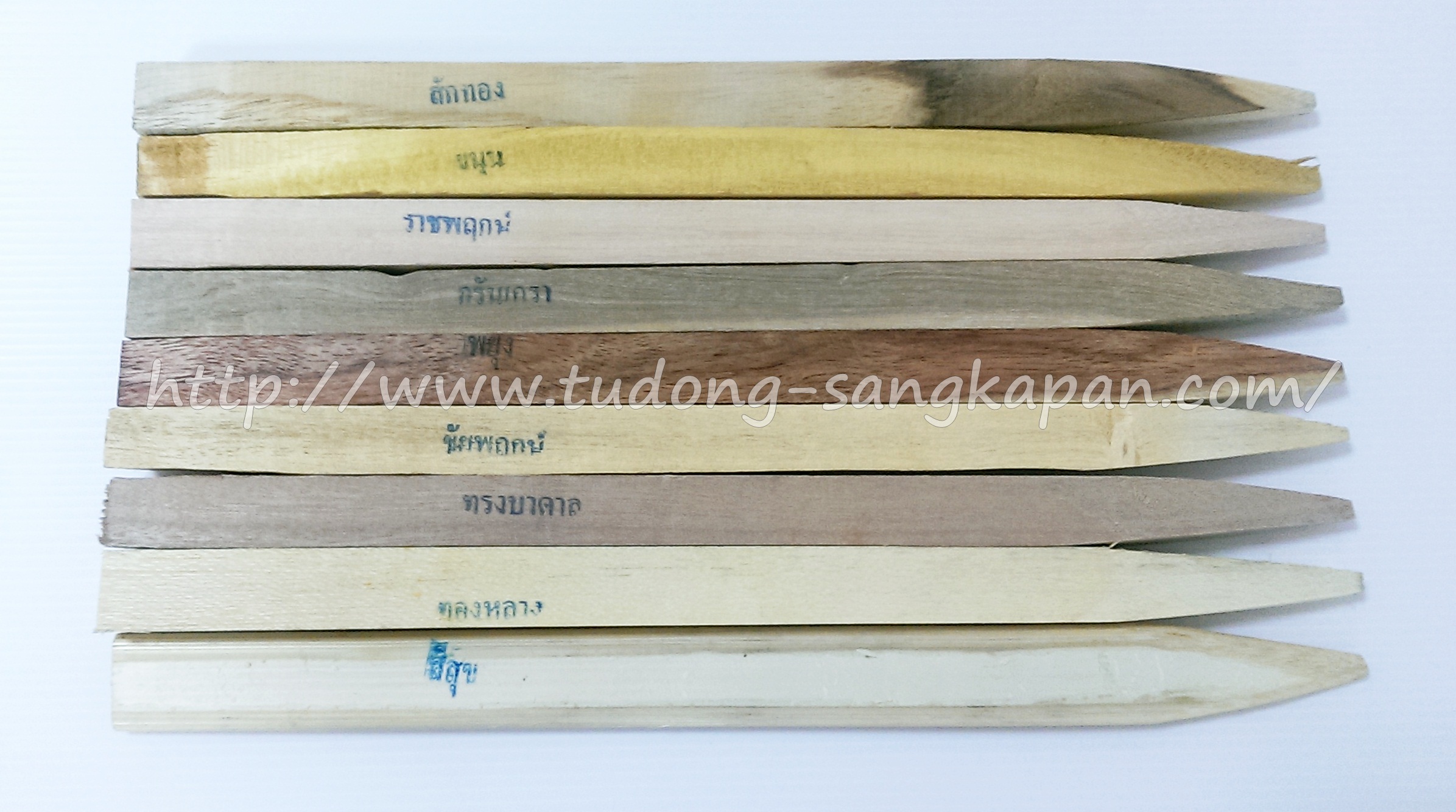 ไม้มงคล 9 ชนิด