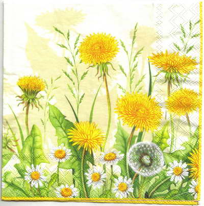 แนวภาพดอกไม้ ทุ่งดอกไม้เหลือง Tussilago Coltsfoot เป็นภาพครึ่งแผ่น กระดาษแนพกิ้นสำหรับทำงาน เดคูพาจ Decoupage Paper Napkins ขนาด 33X33cm