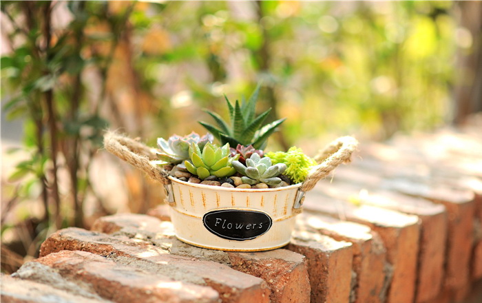 Pre-Order กระถางต้นไม้ทรงถังกลม มีหูเชือก สังกะสีทำสีเก่า เซต 2 ใบ Zakka