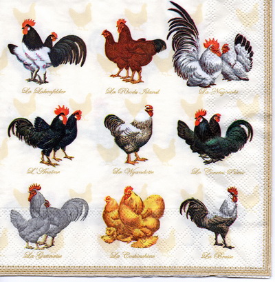 แนวภาพสัตว์ ไก่ หลากสายพันธุ์ เป็นภาพครึ่งแผ่น กระดาษแนพกิ้นสำหรับทำงาน เดคูพาจ Decoupage Paper Napkins ขนาด 33X33cm