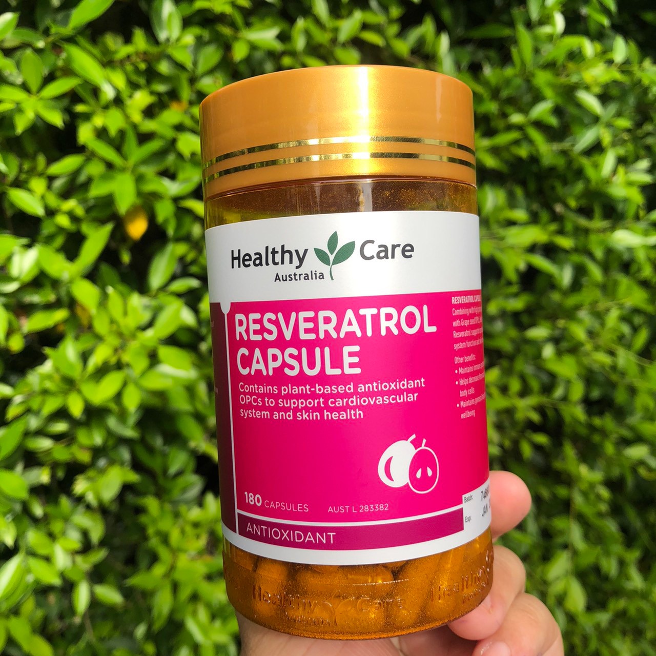 Resveratrol เรสเวอราทรอล