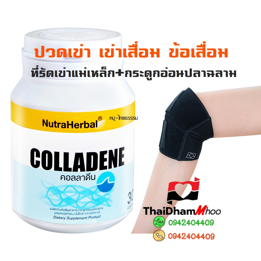 ที่รัดเข่าแม่เหล็กไวทอป+กระดูกอ่อนปลาฉลาม ลดอาการปวดเข่า โรคข้อเข่าเสื่อม หรือบาดเจ็บ