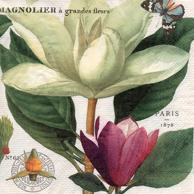 แนวภาพดอกไม้ วินเทจ ดอกแมกโนเลีย Magnolia เป็นภาพบล็อค 4 กระดาษแนพกิ้นสำหรับทำงาน เดคูพาจ Decoupage Paper Napkins ขนาด 33X33cm