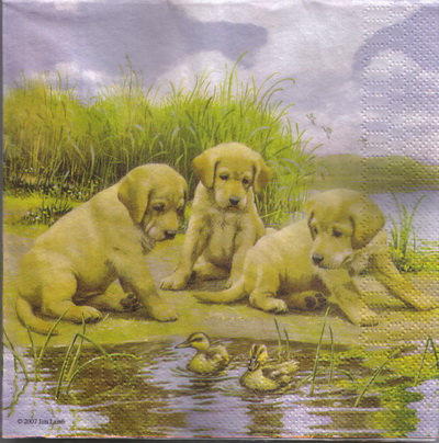 แนวภาพสัตว์ หมา Golden Retriever Puppy กับเป็ด เป็นภาพบล็อค 4 กระดาษแนพกิ้นสำหรับทำงาน เดคูพาจ Decoupage Paper Napkins ขนาด 33X33cm