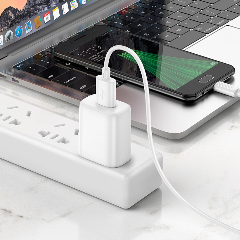 หัวชาร์จพร้อมสายชาร์จ Hoco C134 Solid USB-A 5V / 2.4A wall charger with 1m MICRO-USB