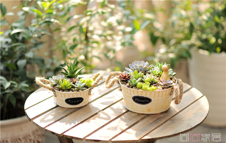 Pre-Order กระถางต้นไม้ทรงถังกลม มีหูเชือก สังกะสีทำสีเก่า เซต 2 ใบ Zakka