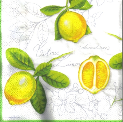 แนวภาพ วินเทจ ผลไม้ Lemon Citrus มะนาว เป็นภาพแนวยาว กระดาษแนพกิ้นสำหรับทำงาน เดคูพาจ Decoupage Paper Napkins ขนาด 33X33cm