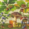 แนวภาพใบไม้ Leaf เห็ด ลูกนัท บลูเบอร์รี่ Mushroom เป็นภาพครึ่งแผ่น กระดาษแนพกิ้นสำหรับทำงาน เดคูพาจ Decoupage Paper Napkins ขนาด 33X33cm