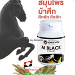 ยาอิมแบล็ค อาหารเสริมผู้ชาย สมุรไพรท่านชาย คืนความหนุ่มกลับมาแบบม้าศึก