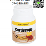 ถั่งเช่าผสมเห็ดหลินจือ บำรุงร่างกาย ซ่อมแซมร่างกาย