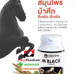 ยาเอ็มแบล็ค สมุนไพร-อาหารเสริมผู้ชาย ย้อยวัยหนุ่มกลับมาแบบม้าศึก บำรุงร่างกาย บำรุงสมรรถนะ ปรับสมดุลฮอร์โมนท่านชายทุกวัย