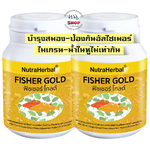 น้ำมันปลา ผสมใบแป๊ะก๋วย บำรุงสมองเด็กโต วันเรียน วันผู้ใหญ่ คิดไว ความจำดี