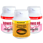 ชุดผอมสวยด้วยจุลชีพตัวดี เร่งกานเผาผลาญ ลดลำไส้อักเสบ