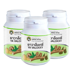 ยาวาล๊อกซี่ (3)สมุนไพรไทยล้างพิษ ยาสั่ง ยาเบื่อ ยาฆ่าแมลง สารเคมีตกค้าง และล้างพิษยาเสพติด