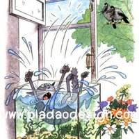 กระดาษสาพิมพ์ลาย สำหรับทำงาน เดคูพาจ Decoupage แนวภาพ การ์ตูนน้องแมวแอบปีนเข้าหน้าตาง ตกลงไปในตู้ปลา A5