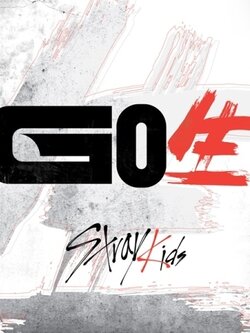 [Pre] Stray Kids : 1st Album - Go Live (Random Ver.)