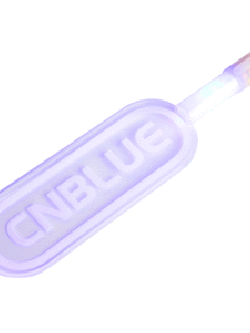 [Pre] CNBLUE : Light Stick