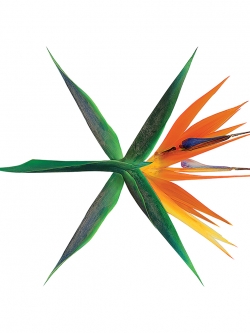 [Pre] EXO : 4th Album - The Wars (Korean Ver.) (Random Ver.)