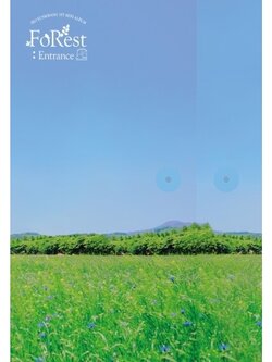 [Pre] Seo Eun Kwang : 1st Mini Album - FOREST : ENTRANCE (Silver Ver.)