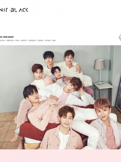 [Pre] UNIT BLACK : 1st Single Album - Steal Your Heart (A Ver.)