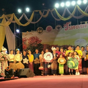 ร่วมงานวันดอกคำใต้งาม ปี 2561