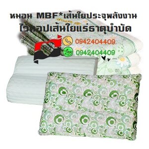 ◕ หมอนกายภาพไวทอป