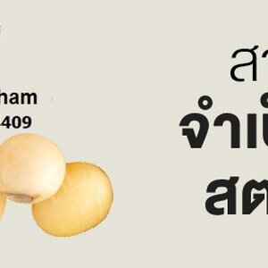 ♥♥ ผลิตภัณฑ์วัยทอง