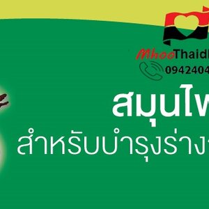 ♥♥ สมุนไพรจีน บำรุงร่างกาย ปรับสมดุลร่างกาย