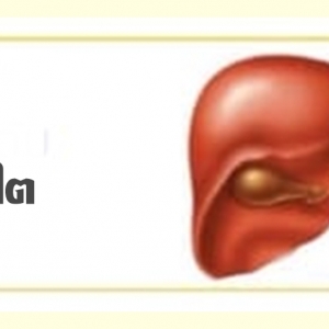 ♥♥ กลุ่มบำรุงไต