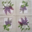 แนวภาพดอกไม้ ช่อดอก SYRINGA บนพื้นกรอบสีเทา เป็นกระดาษ 2 บล๊อค กระดาษแนพคินสำหรับทำงาน เดคูพาจ Decoupage Paper Napkins เป็นภาพ 4 บล๊อค ขนาด 25X25 ซม